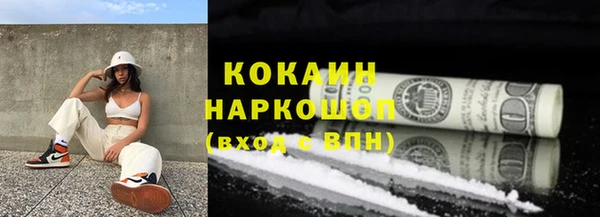 шишки Алексин